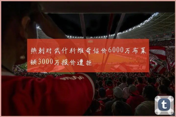 热刺对武什科维奇估价6000万布莱顿3000万报价遭拒