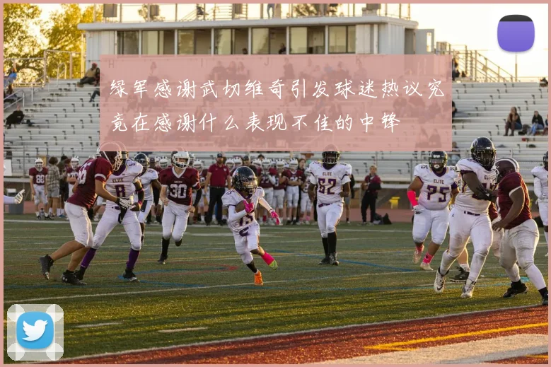 绿军感谢武切维奇引发球迷热议究竟在感谢什么表现不佳的中锋